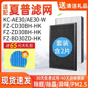 适配夏普KC-AE30空气净化器HK/FZ-BD3D0ZD/CD30BH滤芯KJFWE251Z/W