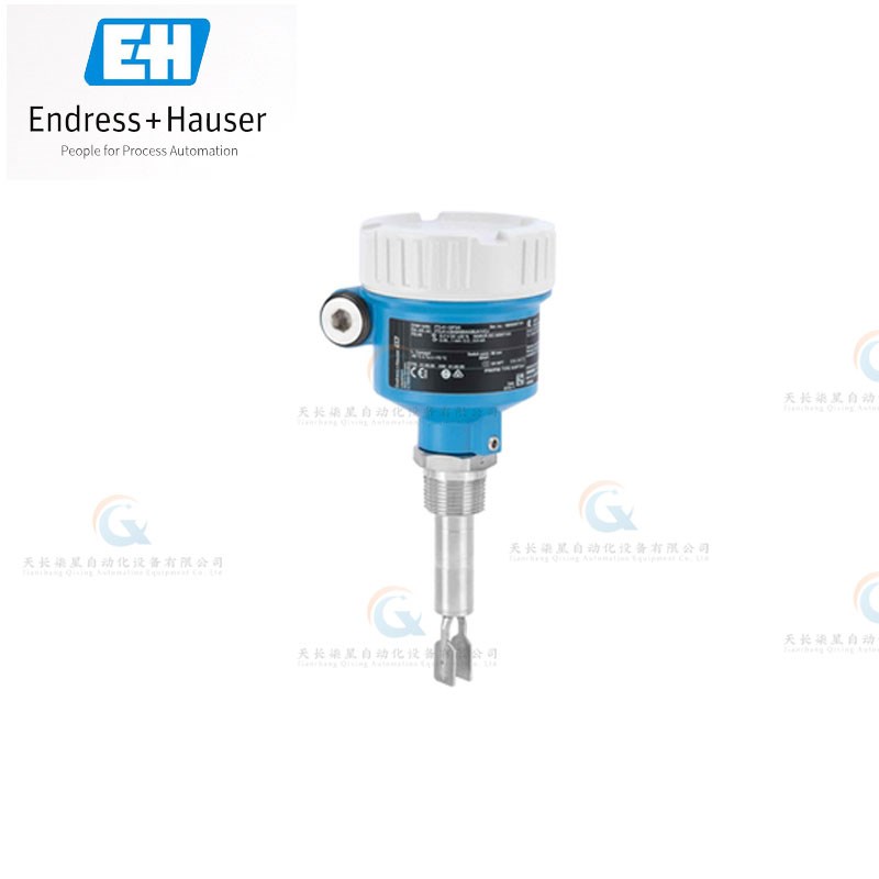 FTL41 FTL3h1 FTL33 FTL51B FTL62 FTL64  FTL51H音叉开关 E+H