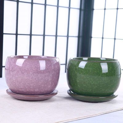 At the beginning  ice cracking glaze succulent planWt flower