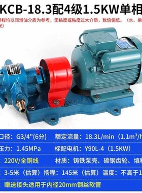 齿轮泵高压液压油泵KmCB耐高温抽油自吸高粘度不锈钢220大流量380