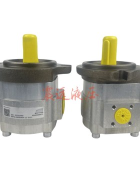 液压齿轮泵EIPS2-005RA04-11 S111液压油J泵EIPS2-025RA04-10