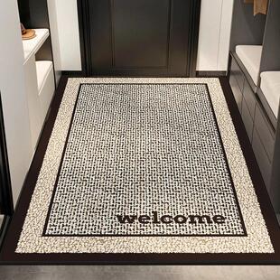 入户门地垫门垫入门户脚垫子进门地毯大门口2024新款玄关门外门前