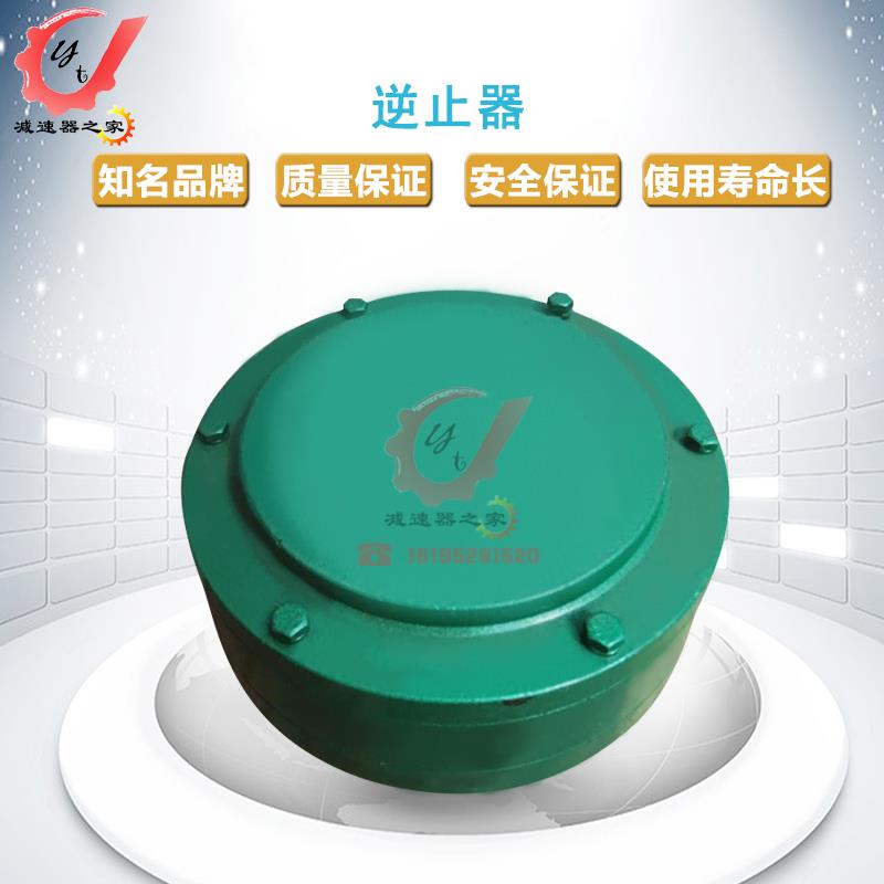 江苏泰星牌泰隆牌硬齿面减速机配件DCY DBY滚柱逆止器中一轴
