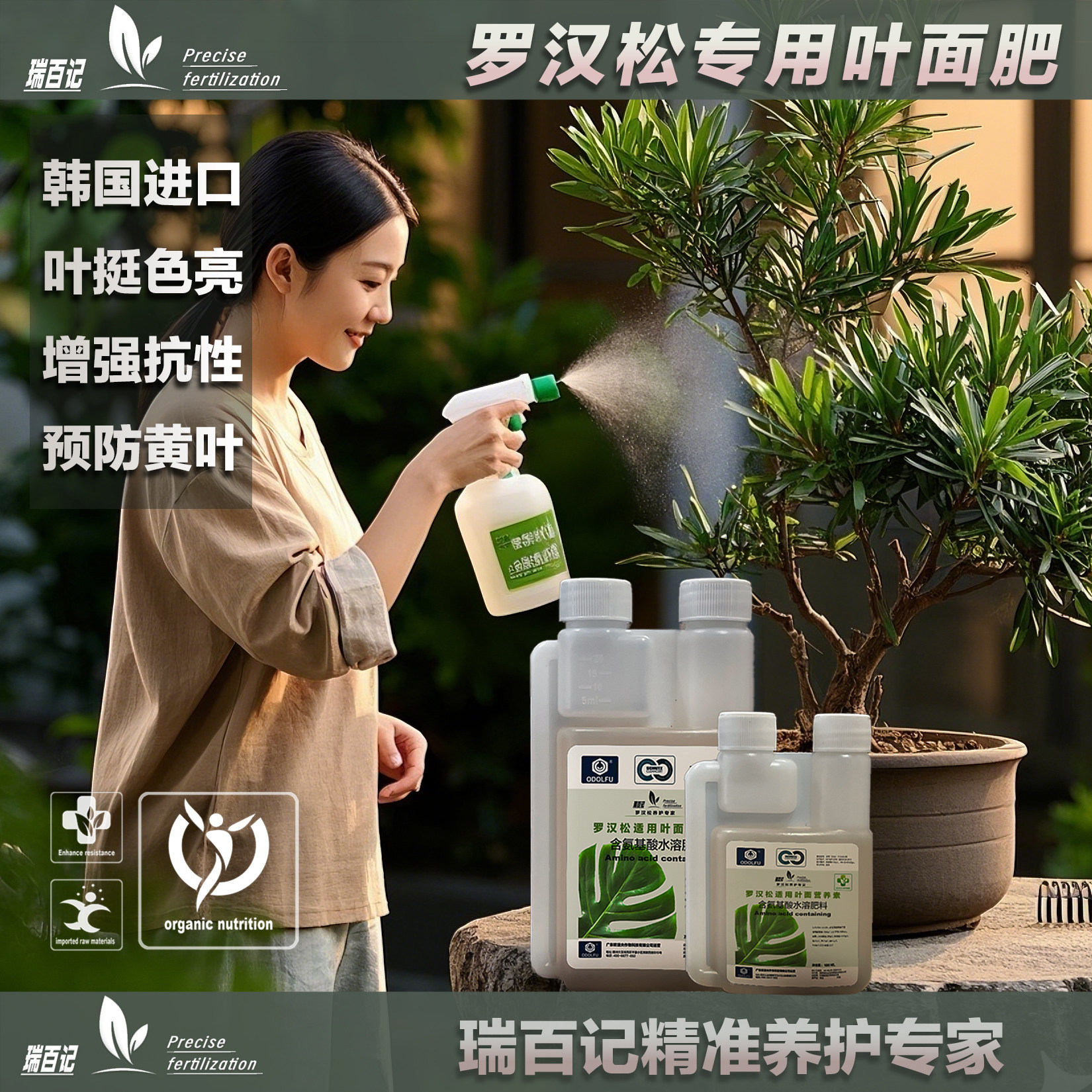 【瑞百记】罗汉松氨基酸叶面肥高级进口促进长芽罗汉松专用营养液,鲜花速递/花卉仿真/绿植园艺,家庭园艺肥料,淘宝优惠券,粉丝福利购,淘宝优惠卷