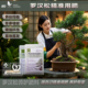 瑞百记 罗汉松专用肥料颗粒肥防黄枯叶促生根缓释肥进口复合肥
