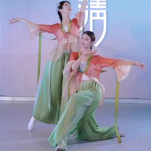 苏幕遮古典舞飘逸舞蹈p服国风古韵演出服女绯月古装薄款身韵练功