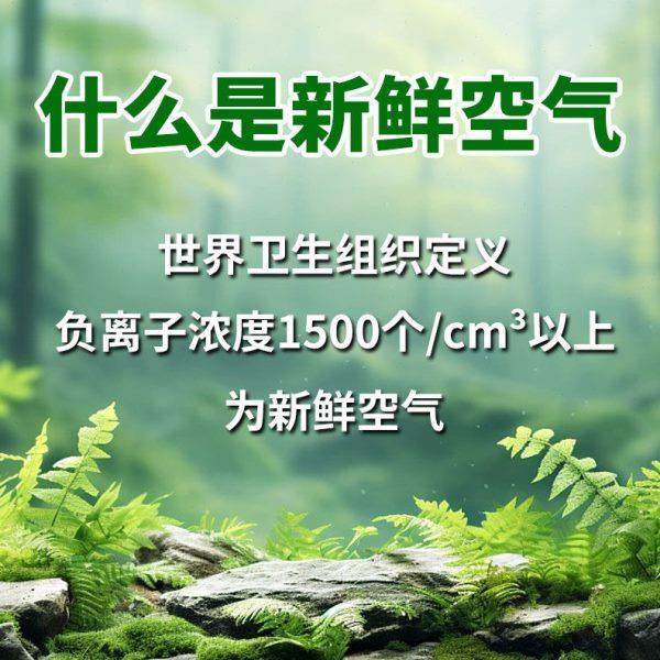 天将军木质浓度小粒径负离子机发生器学生伴侣空气净化器0噪声