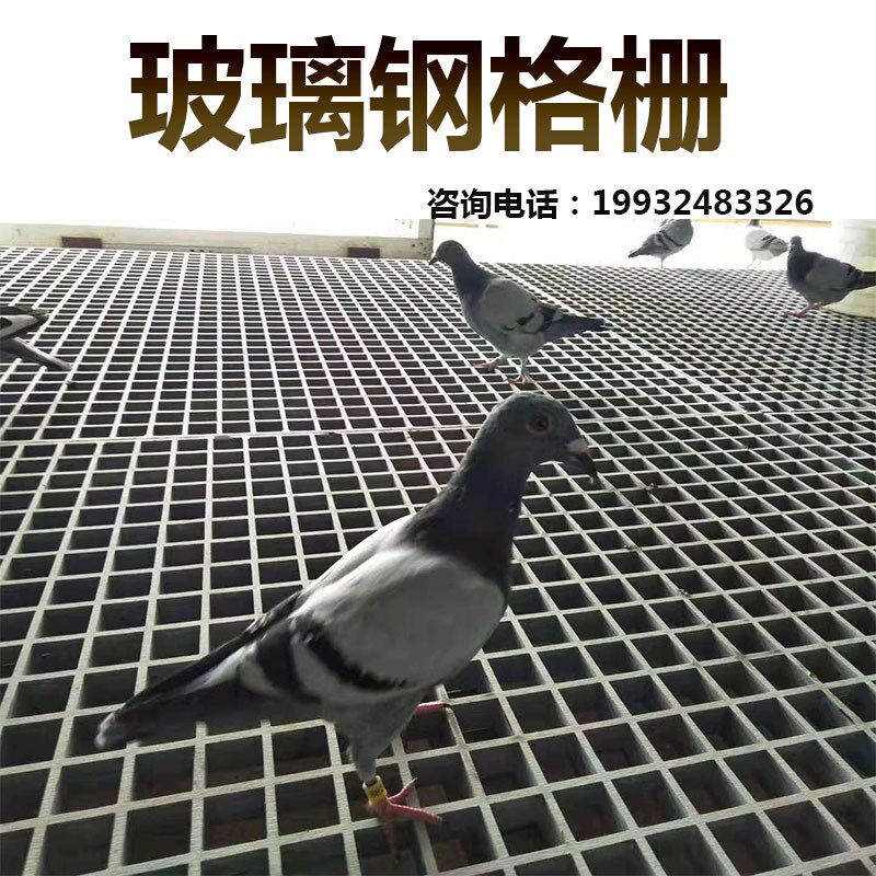 玻璃钢双层小孔养殖鸽舍漏粪板 田字格网格板 洗车房排水格栅板
