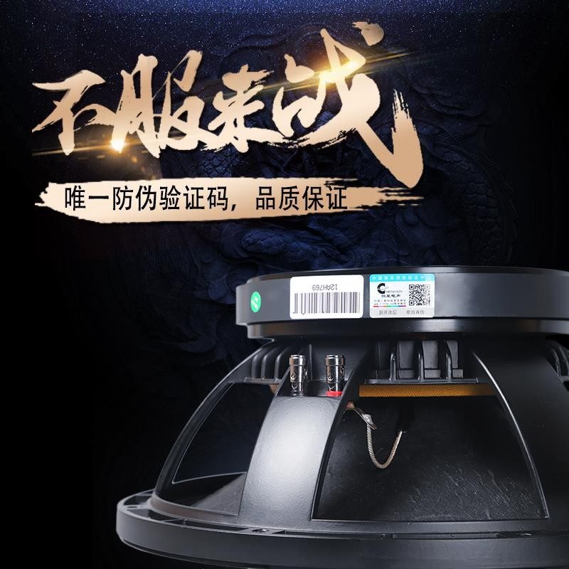 12寸全频低音喇叭190磁75芯专业房娱乐舞台音箱专用KTV大功率400W