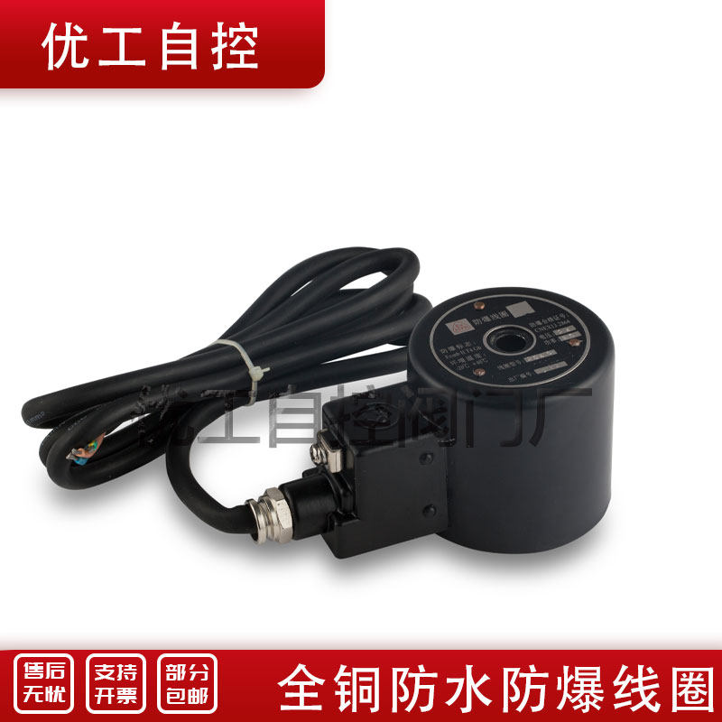 电磁阀线圈 全铜线圈AC380 220V AC24V AC36V AC110V DC24V DC12V