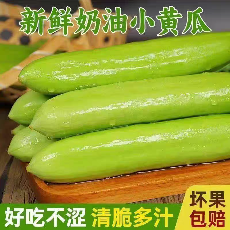 顺丰水果黄瓜新鲜无刺生吃脆嫩