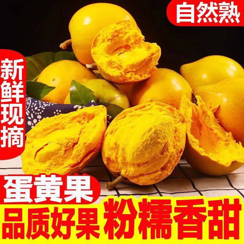 蛋黄果新鲜海南鸡蛋果5斤孕妇当季水果云南特产狮头果现摘现发w,水产肉类/新鲜蔬果/熟食,木瓜,淘宝优惠券,粉丝福利购,淘宝优惠卷