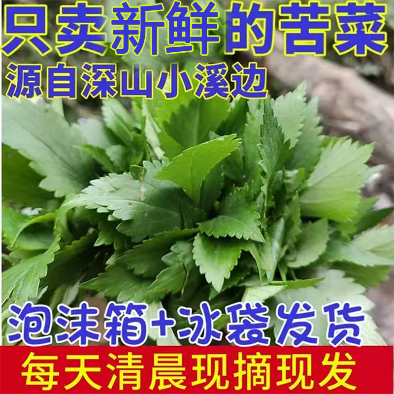 新鲜苦菜福建客家新鲜苦抓菜农家苦斋婆败酱草