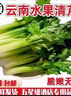 云南新鲜水果清芹可生吃的芹菜当季现摘新鲜网红菜绿色榨汁蔬菜