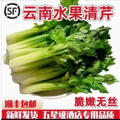 生吃的水果芹菜清芹脆嫩无丝