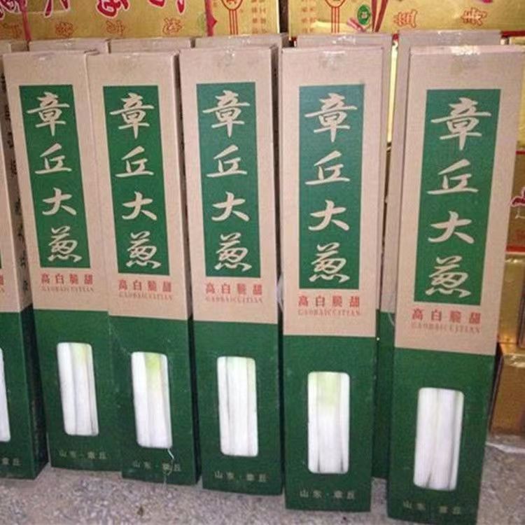 大葱山东特级章丘大葱1.5米