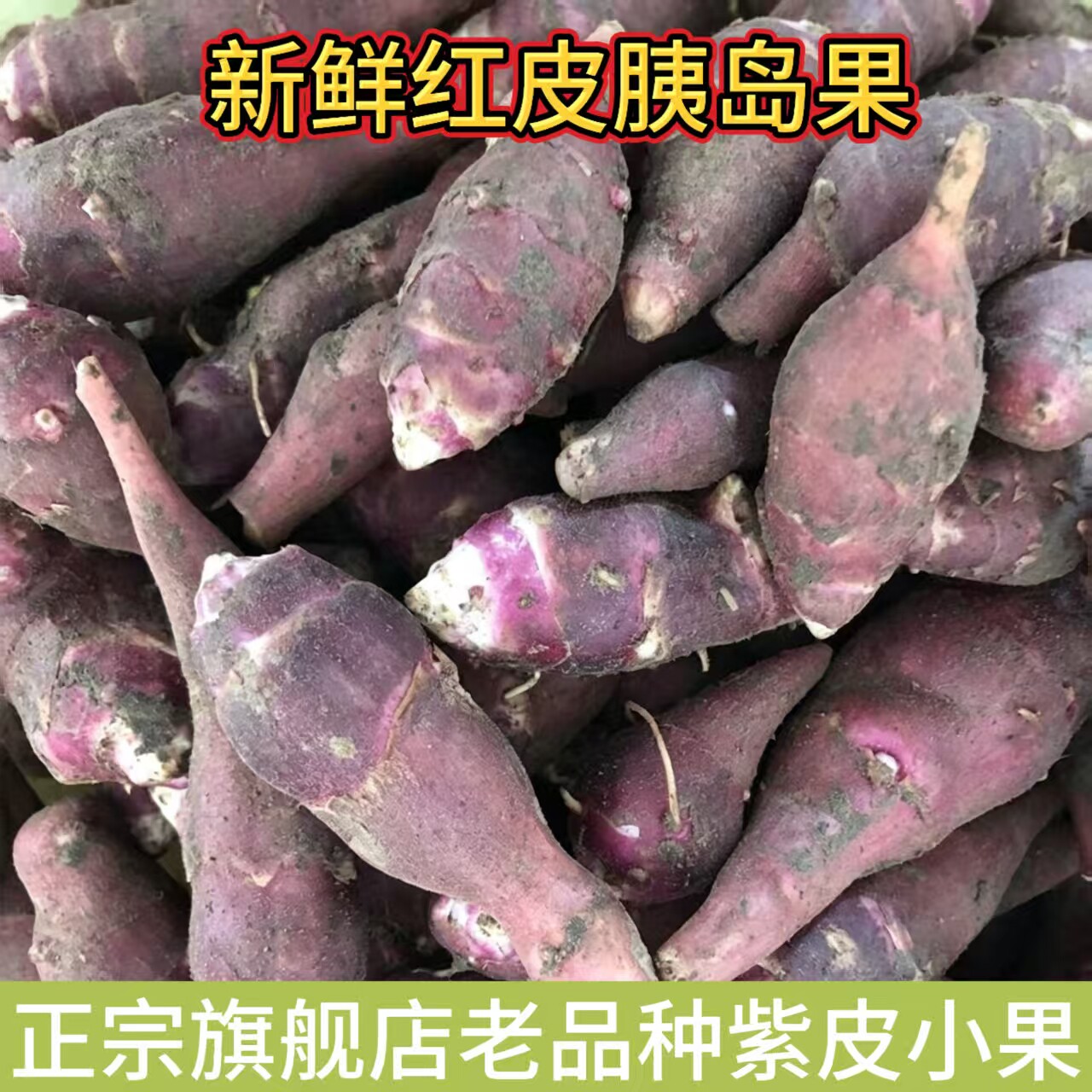 胰岛果紫皮洋姜新鲜红皮洋生姜鬼子姜红果腌酱泡咸菜甜姜种菊芋
