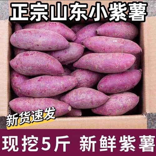 农家自种新鲜粗粮一级紫薯紫心薯