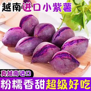 正宗越南小紫薯珍珠板栗紫薯一级新鲜低脂粉糯紫地瓜现挖沙地番薯