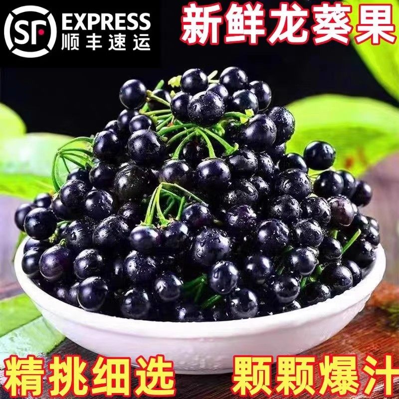 新鲜龙葵果非野生材250克鲜果茄子野葡萄黑天天黑悠悠黑黝黝,水产肉类/新鲜蔬果/熟食,其它,淘宝优惠券,粉丝福利购,淘宝优惠卷