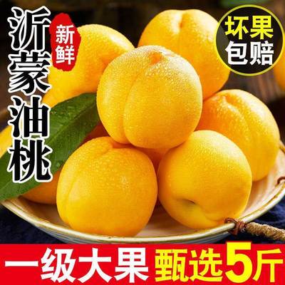 黄油桃山东蒙阴一级黄金油桃