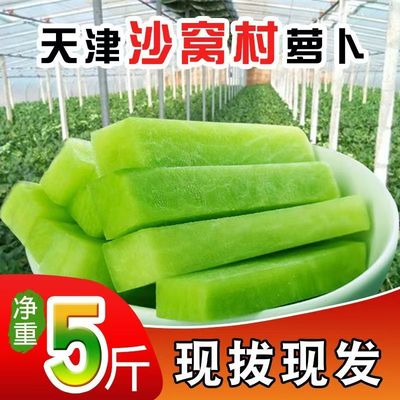 正宗天津冰淇淋萝卜生吃脆甜现挖