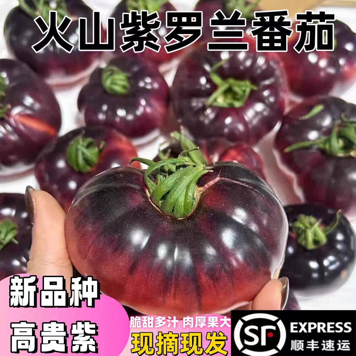 山东紫罗兰番茄新鲜现摘丑番茄图片