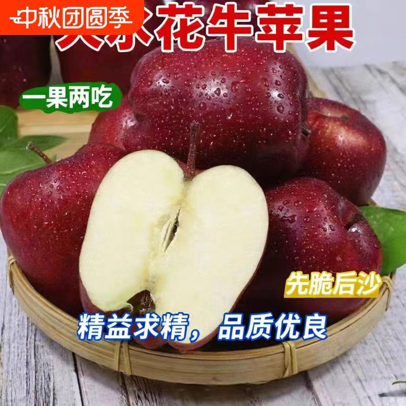 农家花花牛苹果甘肃天水旗舰粉甜