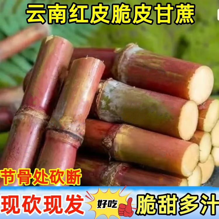 云南脆皮甘蔗当季现砍超甜爆汁罗汉红脆皮甘蔗新鲜水果薄皮 9斤