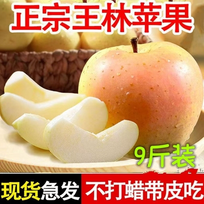 正宗王林苹果当季脆甜水蜜桃青