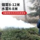 冷雾喷雾机新款 农用打药机消毒喷雾器烟雾弥雾Q机新型冷雾机打药