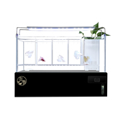 热销超白玻c璃孔雀鱼系统缸桌面生态缸国斗鱼多格排缸底滤鱼缸定