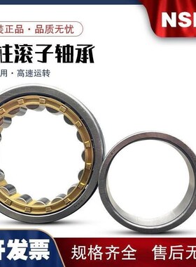 NSK圆柱滚子轴承 NU NJ uNF236 238 240 244 248 EM