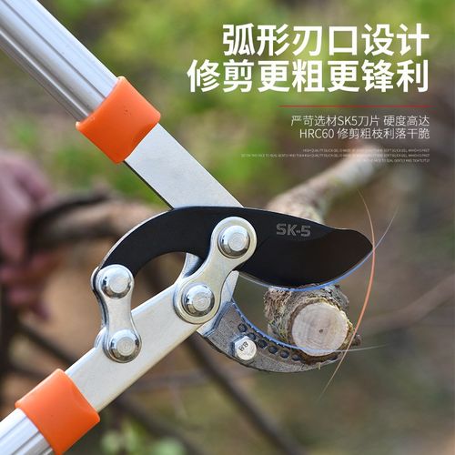 修剪树枝剪刀果树剪枝大力剪园林粗枝剪强力剪花枝园X艺工具高枝