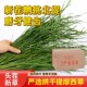 速发22年烘干提摩西草提木西兔粮饲料干草兔子龙猫W豚鼠荷兰猪牧