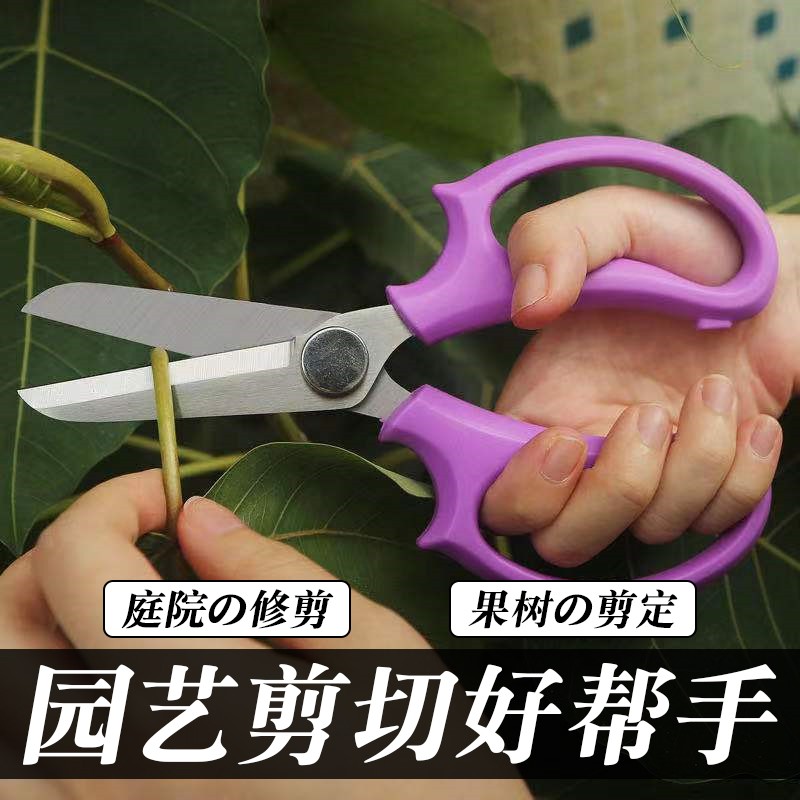 园林果园修剪树枝修枝剪子家用省力盆栽插花修花宽头花艺剪刀打刺