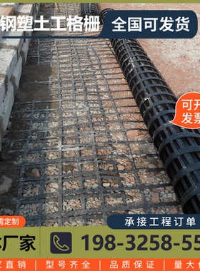 双向钢塑土工格栅玻纤塑料土工格栅路基加固加筋涤纶经编GSZ 50kn
