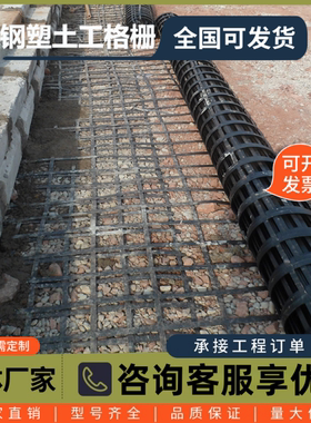 双向钢塑土工格栅玻纤塑料钢塑格栅80kn路基加固涤纶经编GSZ 50kn