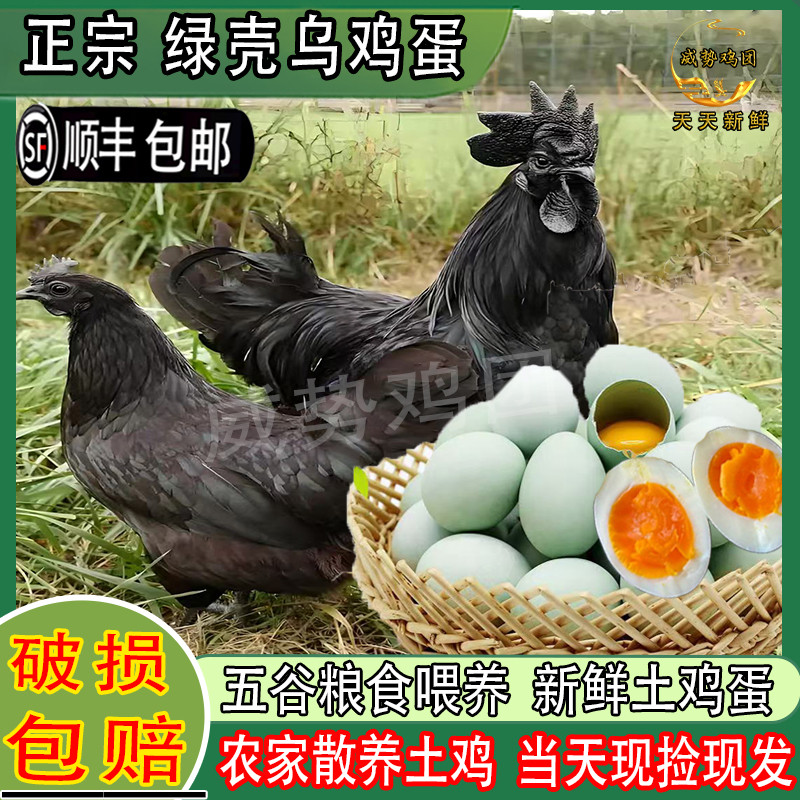 乌鸡蛋正宗农家散养五黑鸡蛋30枚绿壳土鸡蛋宝宝孕妇营养健康鸡蛋,水产肉类/新鲜蔬果/熟食,鸡蛋,淘宝优惠券,粉丝福利购,淘宝优惠卷