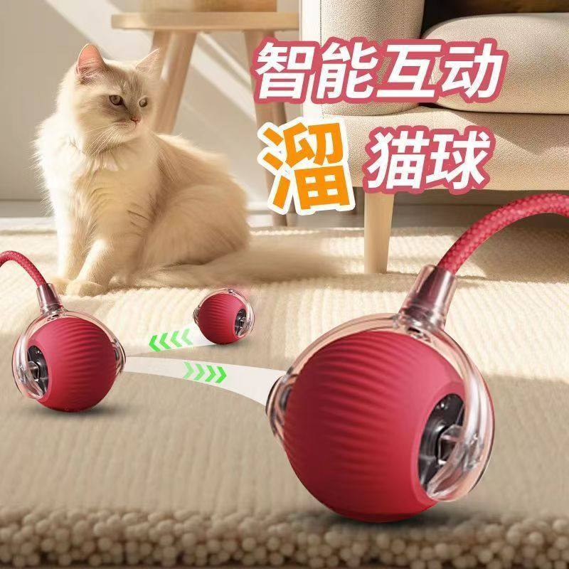 智能逗猫球猫咪玩具解闷小猫猫小猫滚滚自动宠物神器充电式遛狗球,宠物/宠物食品及用品,橡胶球/球形玩具,淘宝优惠券,粉丝福利购,淘宝优惠卷