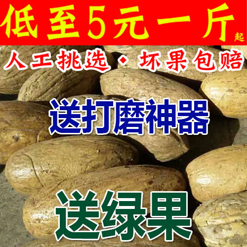 新款精品千眼菩提子原籽原料胖果超级大果按斤手把件翡翠绿色单颗