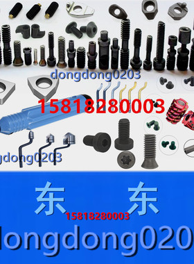 174.3-847M车刀杠杆 174.3-830腰槽螺钉 数控刀具螺钉