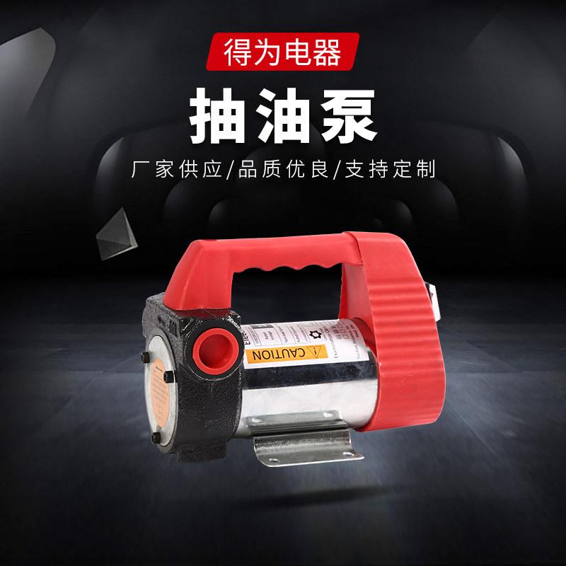 12V24V20V柴油泵 电动加油机抽油泵柴油泵抽油泵 12V柴油输送泵