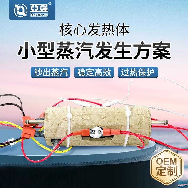 电加热蒸汽发生器商用小型高温蒸汽发热体即热式蒸汽 蒸汽发生器