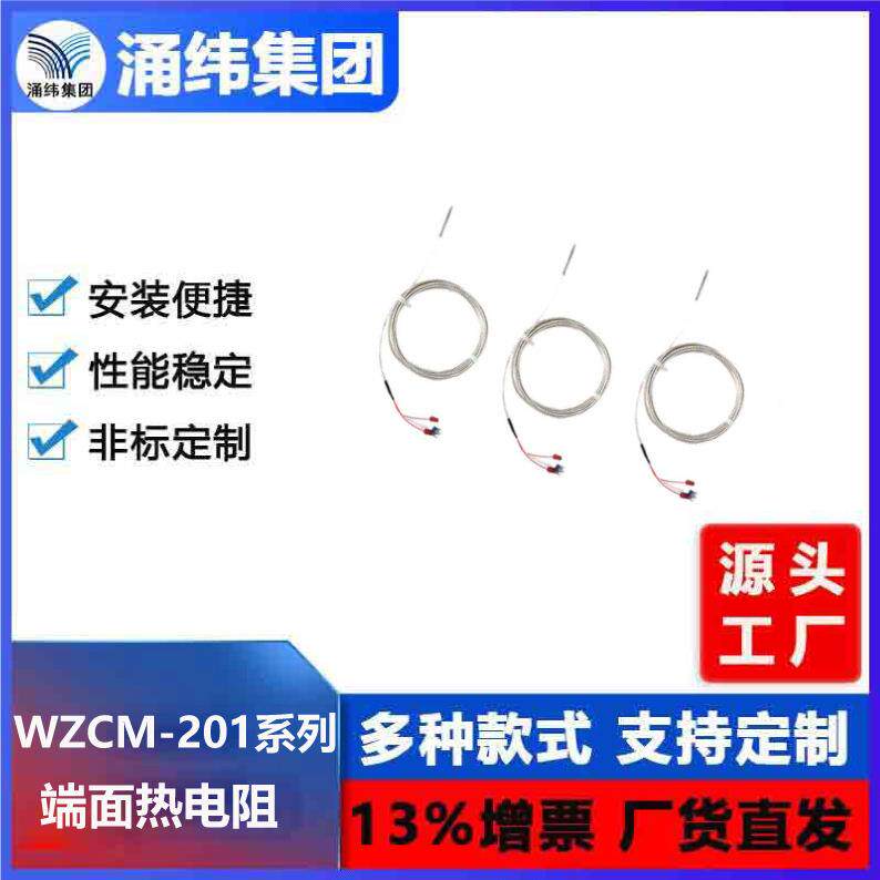 涌纬集团--端面热电阻 WZCM-201