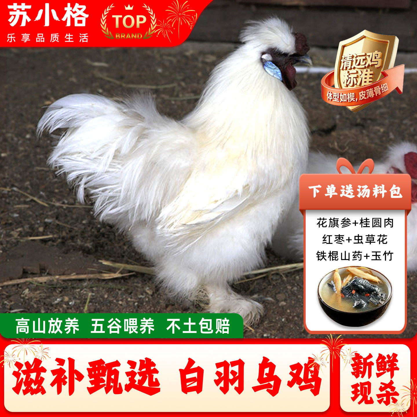 农家散养乌鸡足丝鸡整只新鲜现杀白羽乌骨土鸡老母鸡月子滋补鸡汤