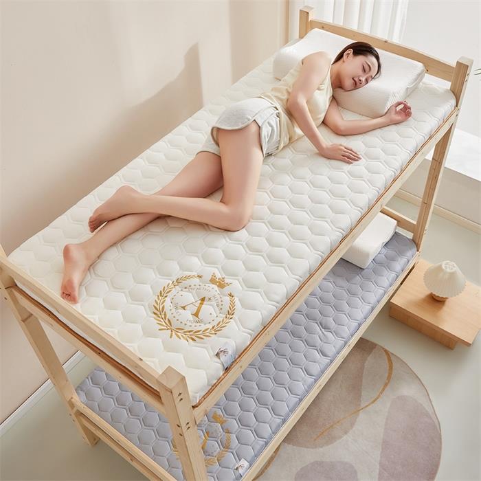 2024新款牛奶丝大豆纤维海绵宿舍单人软垫家用褥子加厚乳胶床垫
