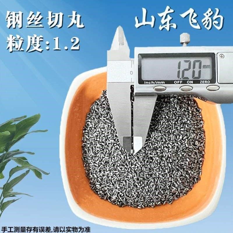 丸钢丸不锈钢合金抛丸q机钢砂配重喷丸钢丝钢沙喷砂切丸铸钢丸抛