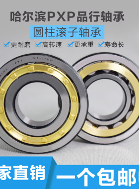 哈尔滨PXP圆柱滚子轴承mNJ248M NJ248M/P5 42248H 240*440*72
