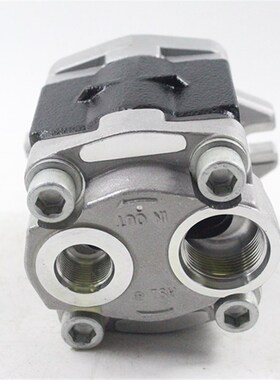 叉车齿轮油泵液压油泵lR305-601100-000适用杭叉XR30 3-3.5吨